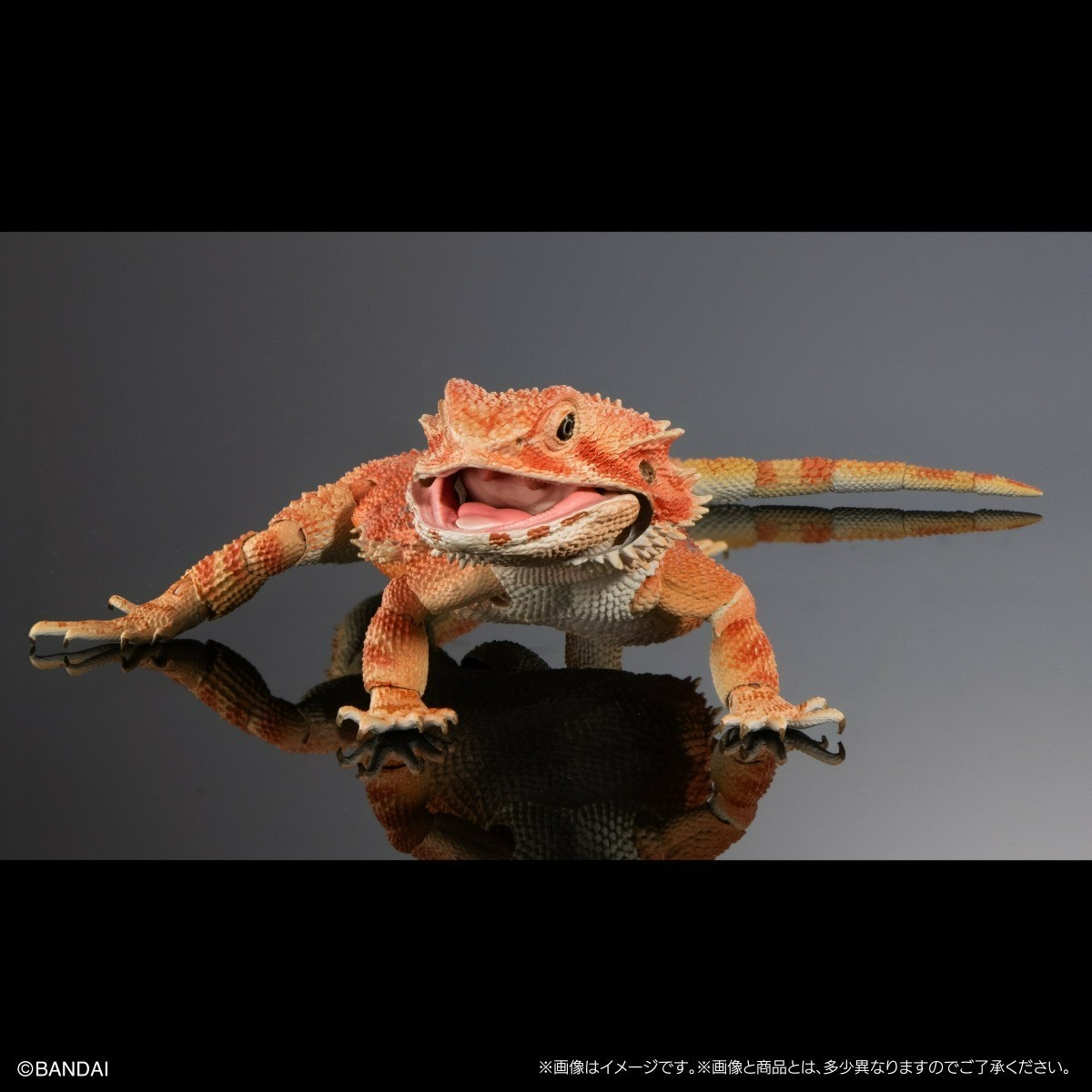 Bandai Diversity of Life on Earth Premiuml Bearded Dragon Red Figure 36cm Japan