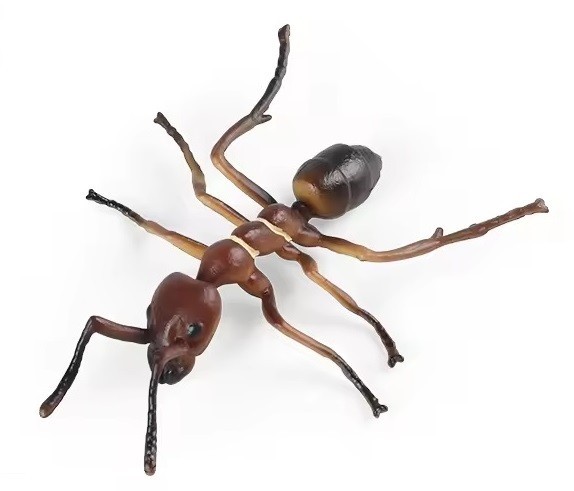Ant Insect Toy Action Figure Small Animal Figurine Doll Gift for Kids
