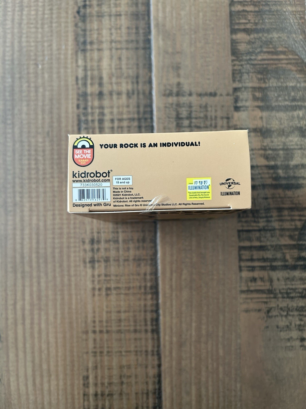 Kidrobot Minions: The Rise Of Gru Pet Rock with Pet Care Guidebook