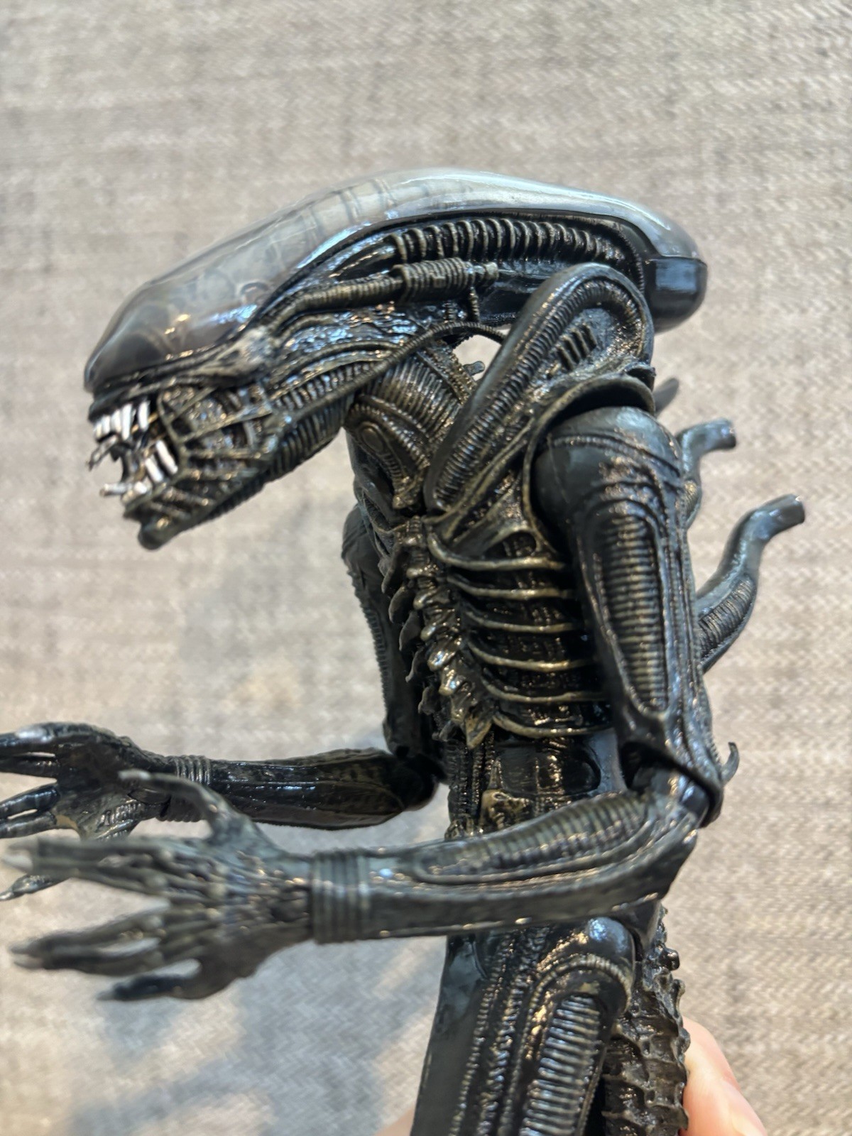 Aliens NECA Action Figure Xenomorph Warrior Alien 9&Prime; 2018 Black Gray