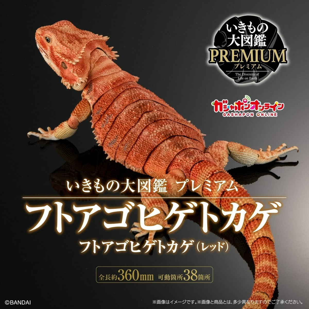Bandai Diversity of Life on Earth Premiuml Bearded Dragon Red Figure 36cm Japan