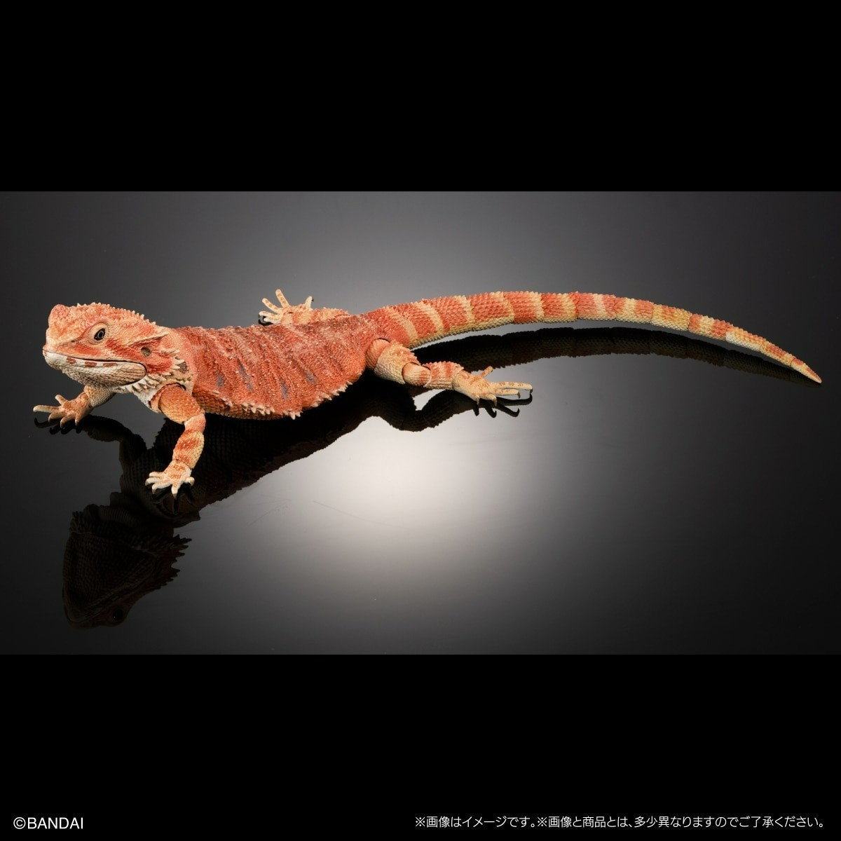 Bandai Diversity of Life on Earth Premiuml Bearded Dragon Red Figure 36cm Japan