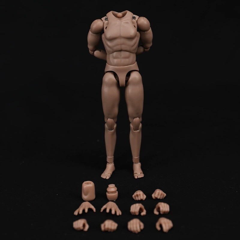 1/12 Scale Standard Male Body & Hands Model for 6&Prime; Figure