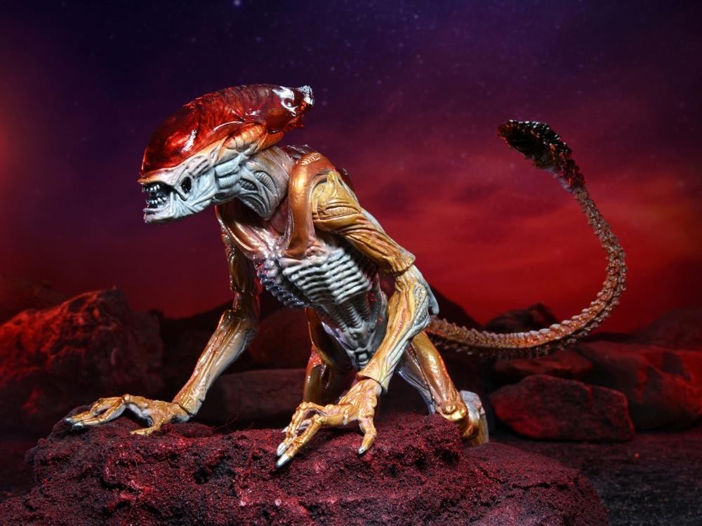 Neca Alien Panther Alien Kenner Tribute