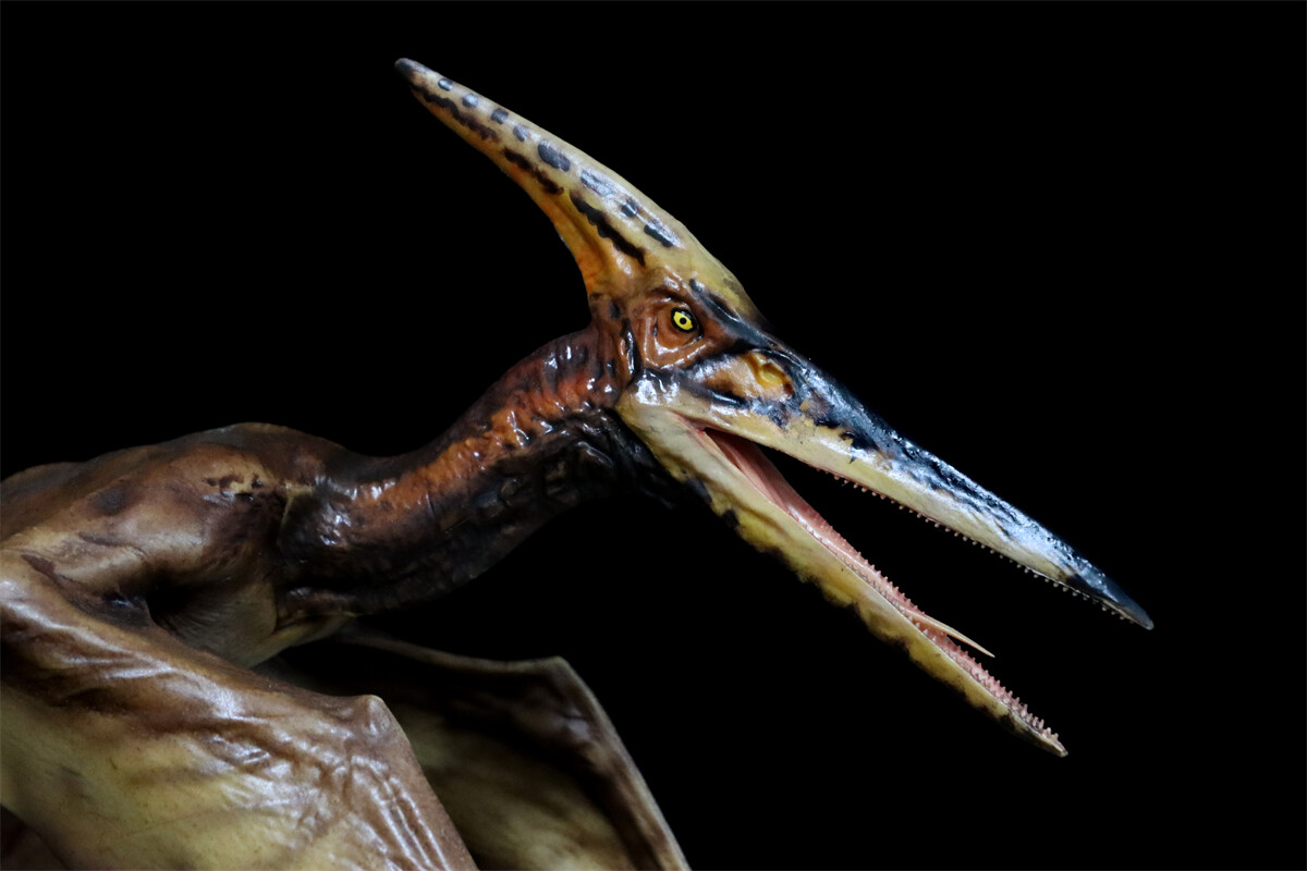DINO DREAM 1/15 Pteranodon with Base Dinosaur Model GK Animal Figure Toys Gift
