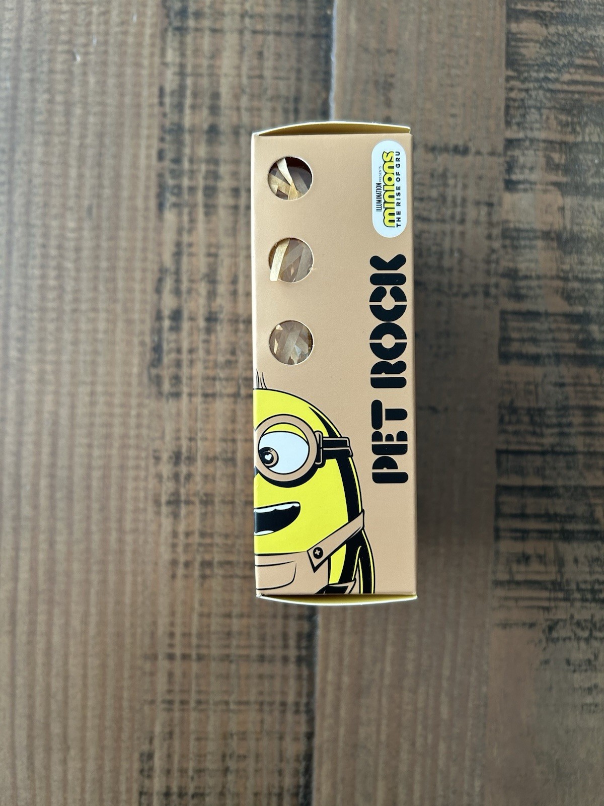 Kidrobot Minions: The Rise Of Gru Pet Rock with Pet Care Guidebook
