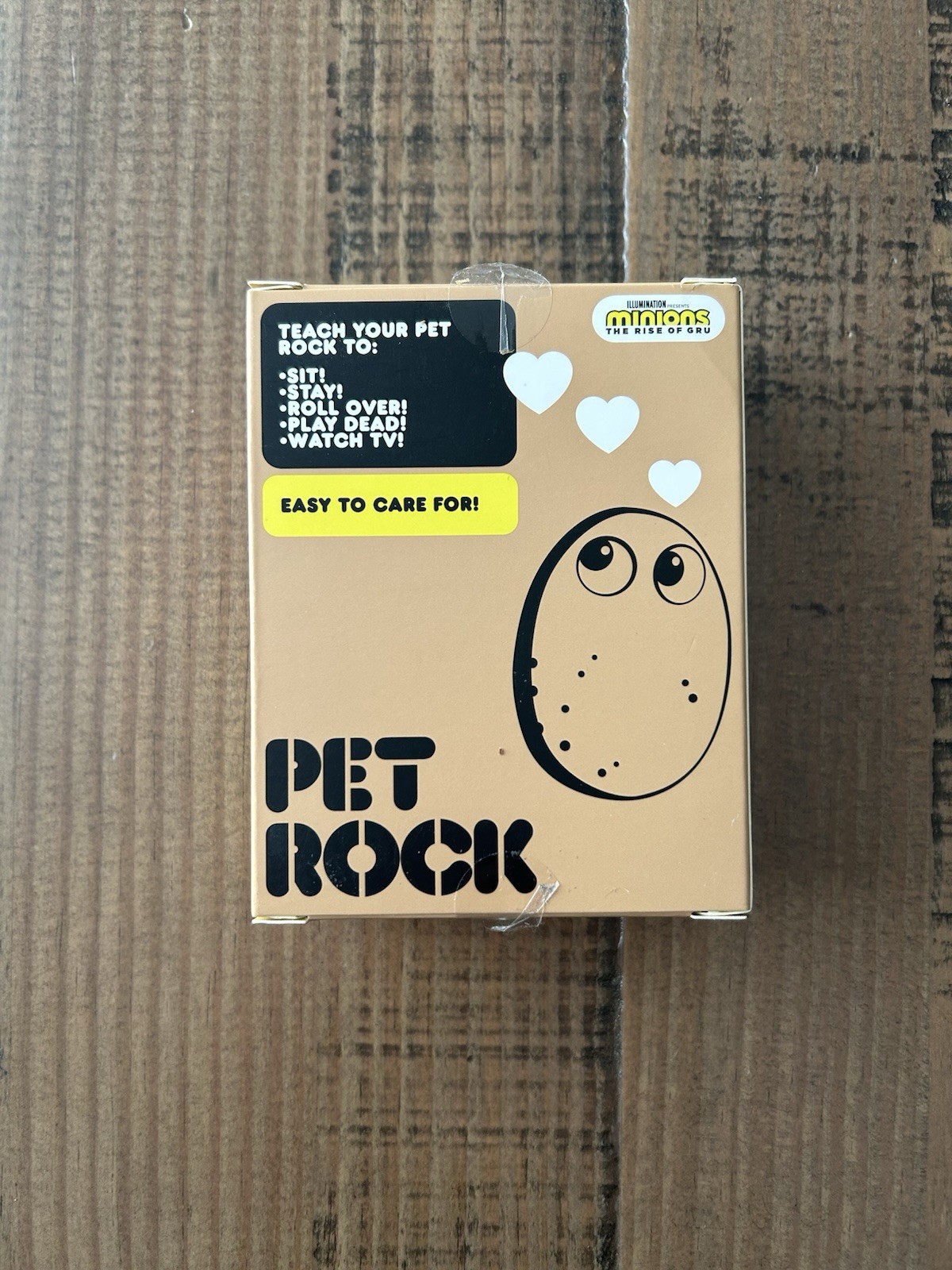 Kidrobot Minions: The Rise Of Gru Pet Rock with Pet Care Guidebook