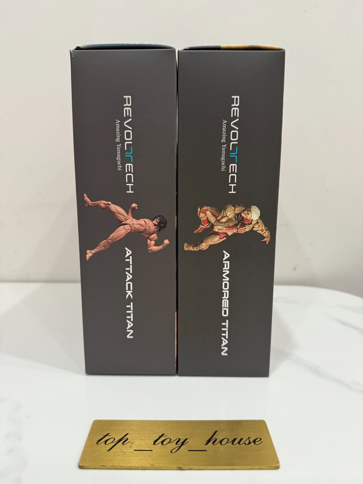 Kaiyodo Revoltech Armored Titan & Attack Titan Set of 2 Action Figure No Bonus
