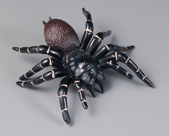 Funnel Spider Insect Animal Toy PVC Action Figure Doll Kids Toys Party Gifts
