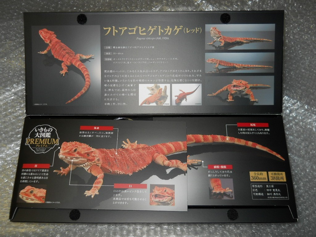 Bandai Diversity of Life on Earth Premiuml Bearded Dragon Red Figure 36cm Japan