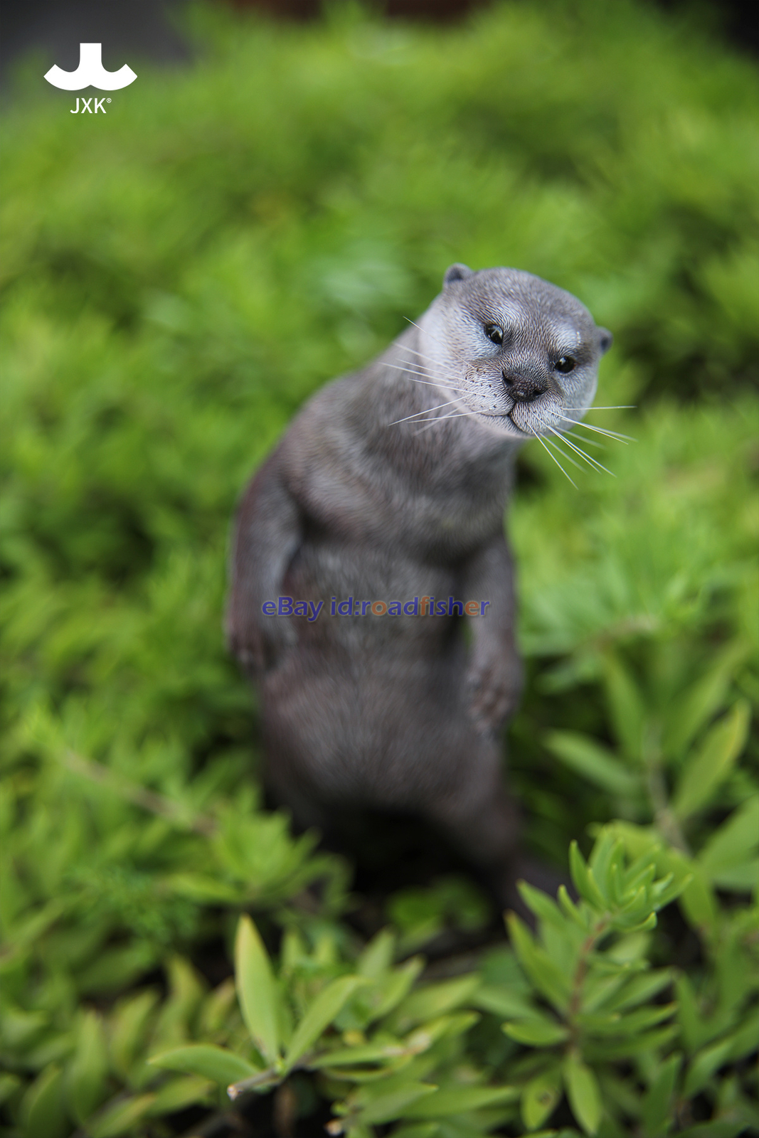 JXK 1/6 Scale Eurasian River Otter Model Animal Figure Scene Decor Kids Toy