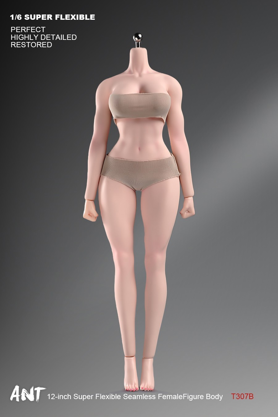 New ANT T307 1/6 Female Normal Sexy Large Bust Muscle Plump Body For 12 »Figure