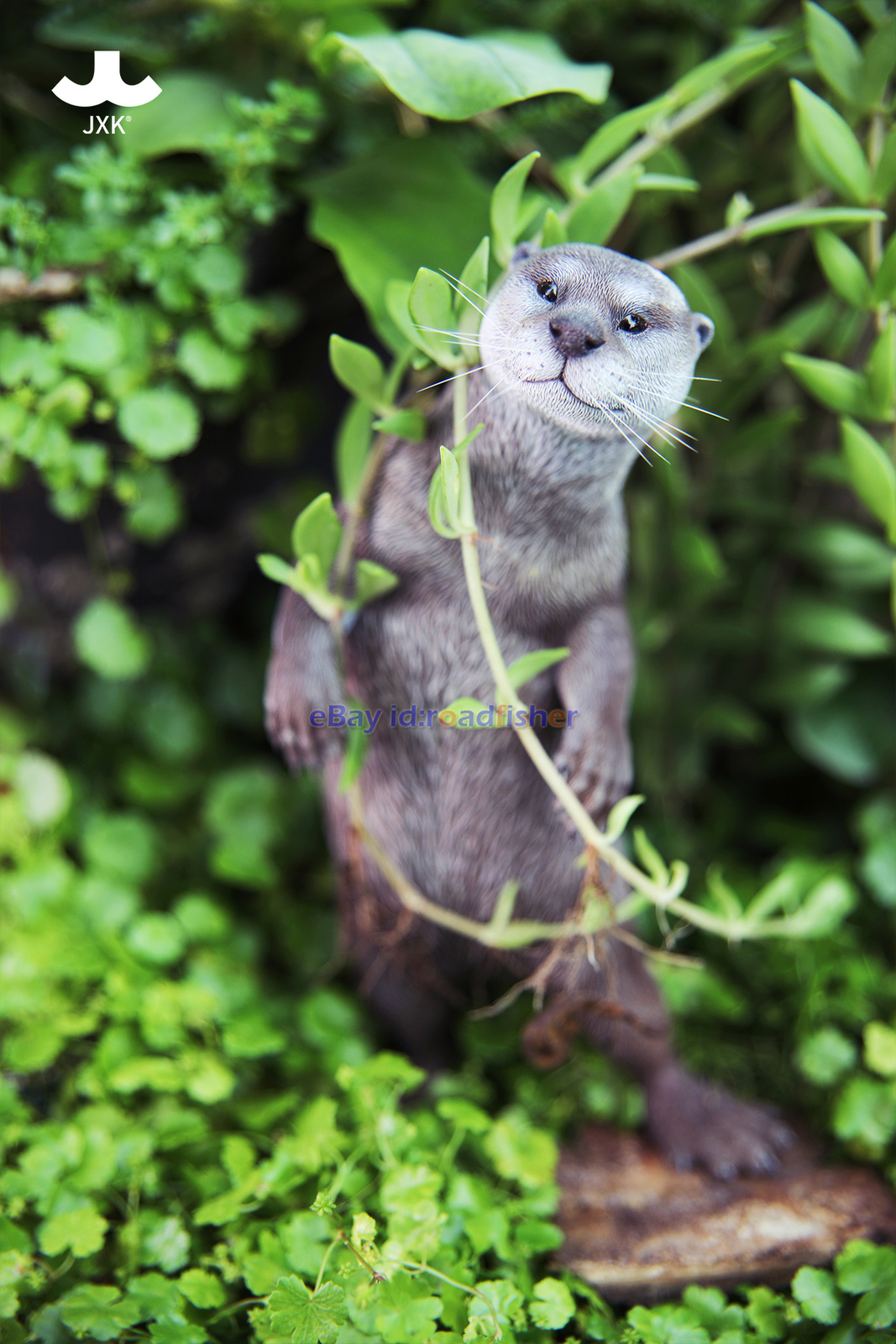JXK 1/6 Scale Eurasian River Otter Model Animal Figure Scene Decor Kids Toy