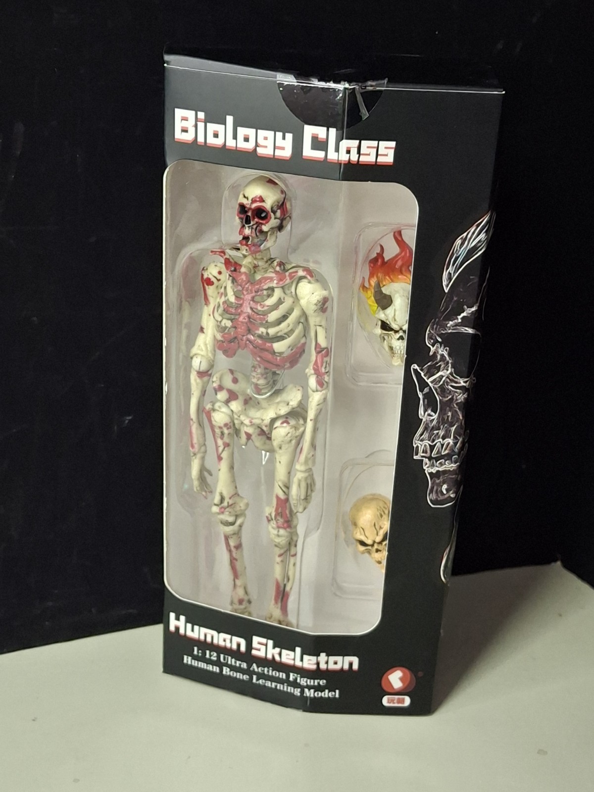 BLOODY Human Skeleton Articulated Model 1/12 Figure KEEPGOING Biology Class