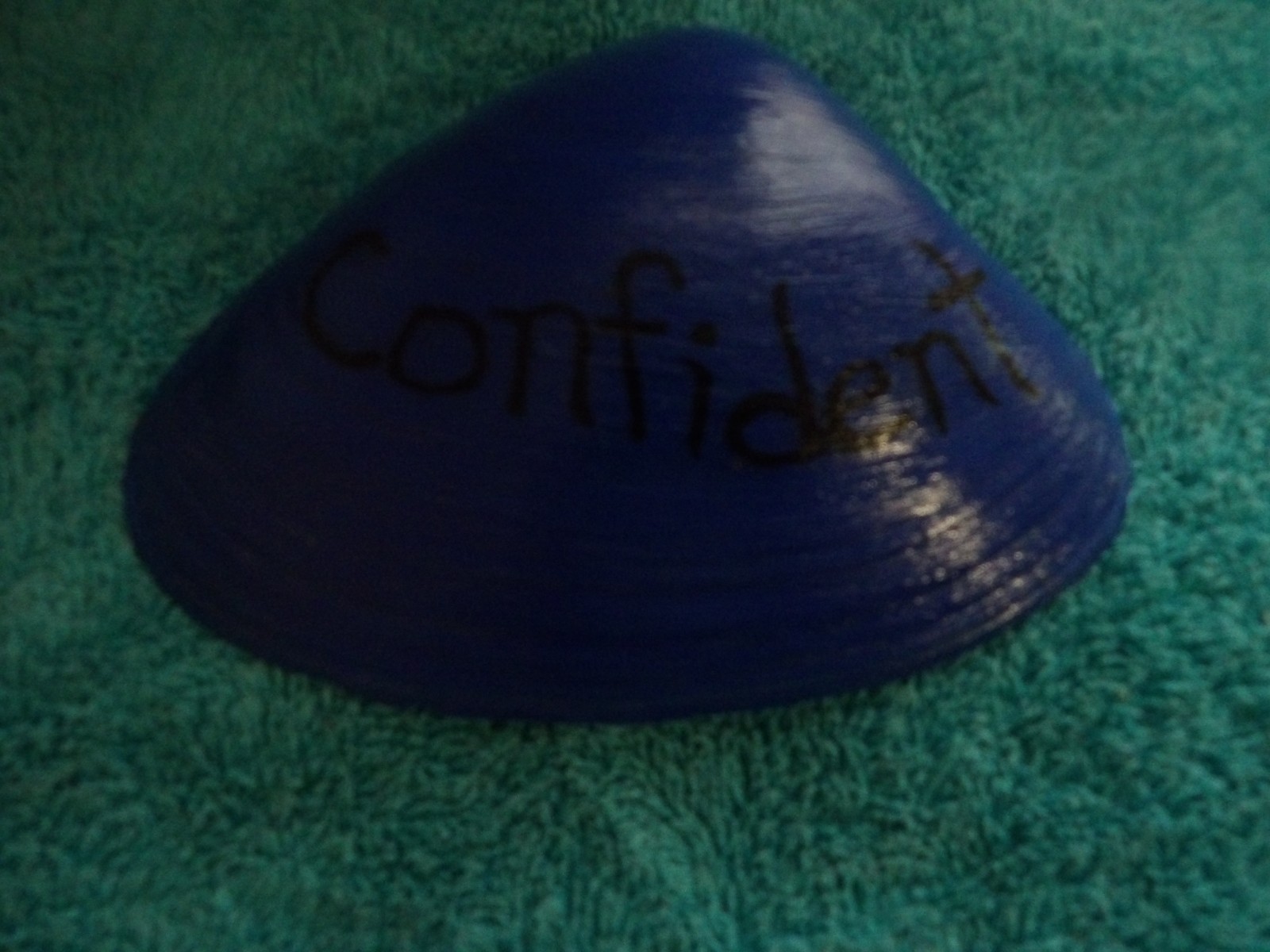 Magic By The Seashell, Enchanted & Powerful Seashells, You Choose Color & Intent