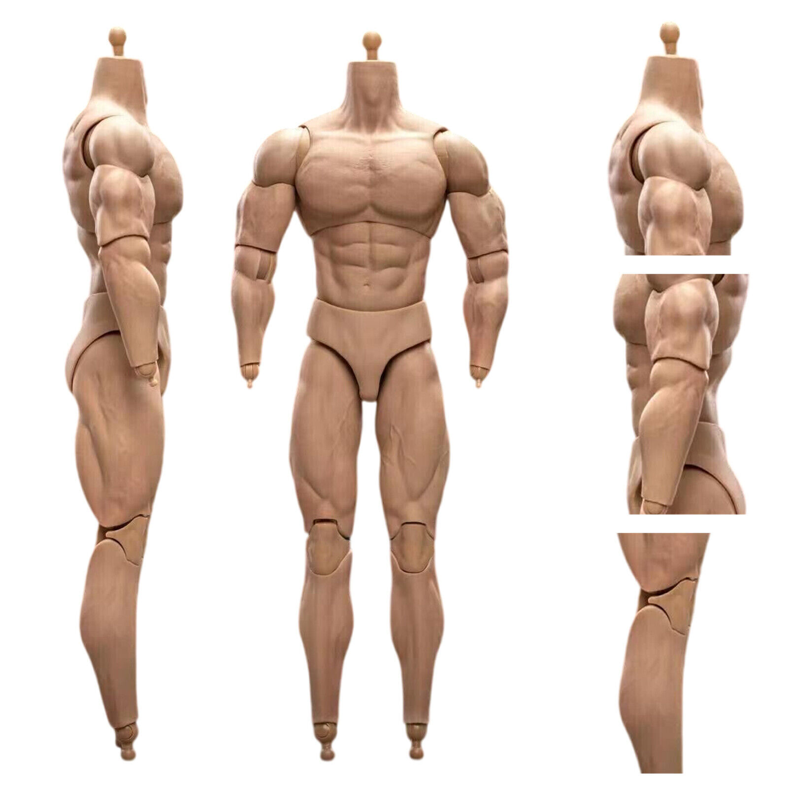 1/6 Scale BD003 Muscular Male Action Figure Body For 12&Prime; Hot Toy Soldier Head Cj