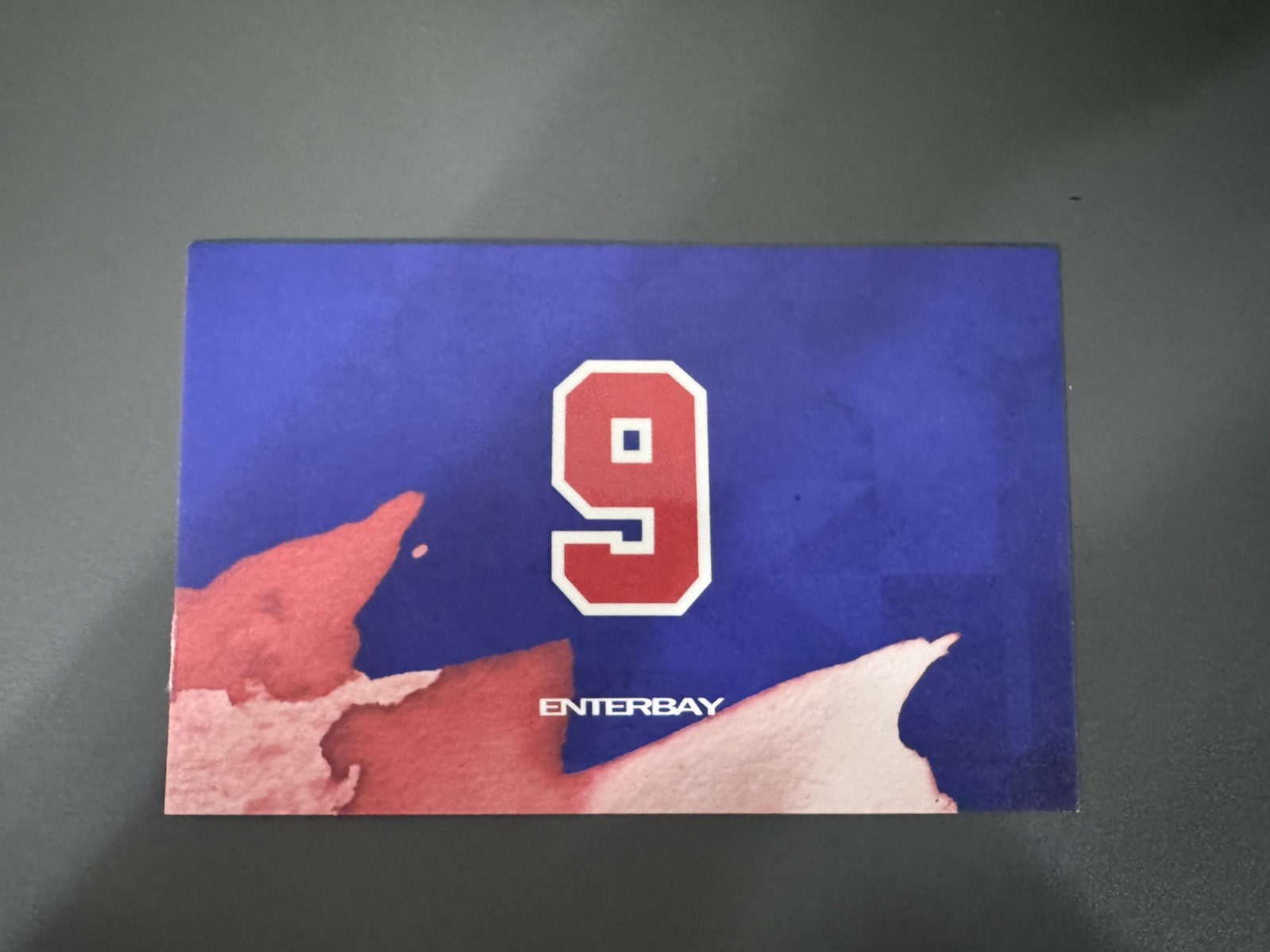 ENTERBAY Michael Jordan Certificate of Authenticity Card Limited Edition COA