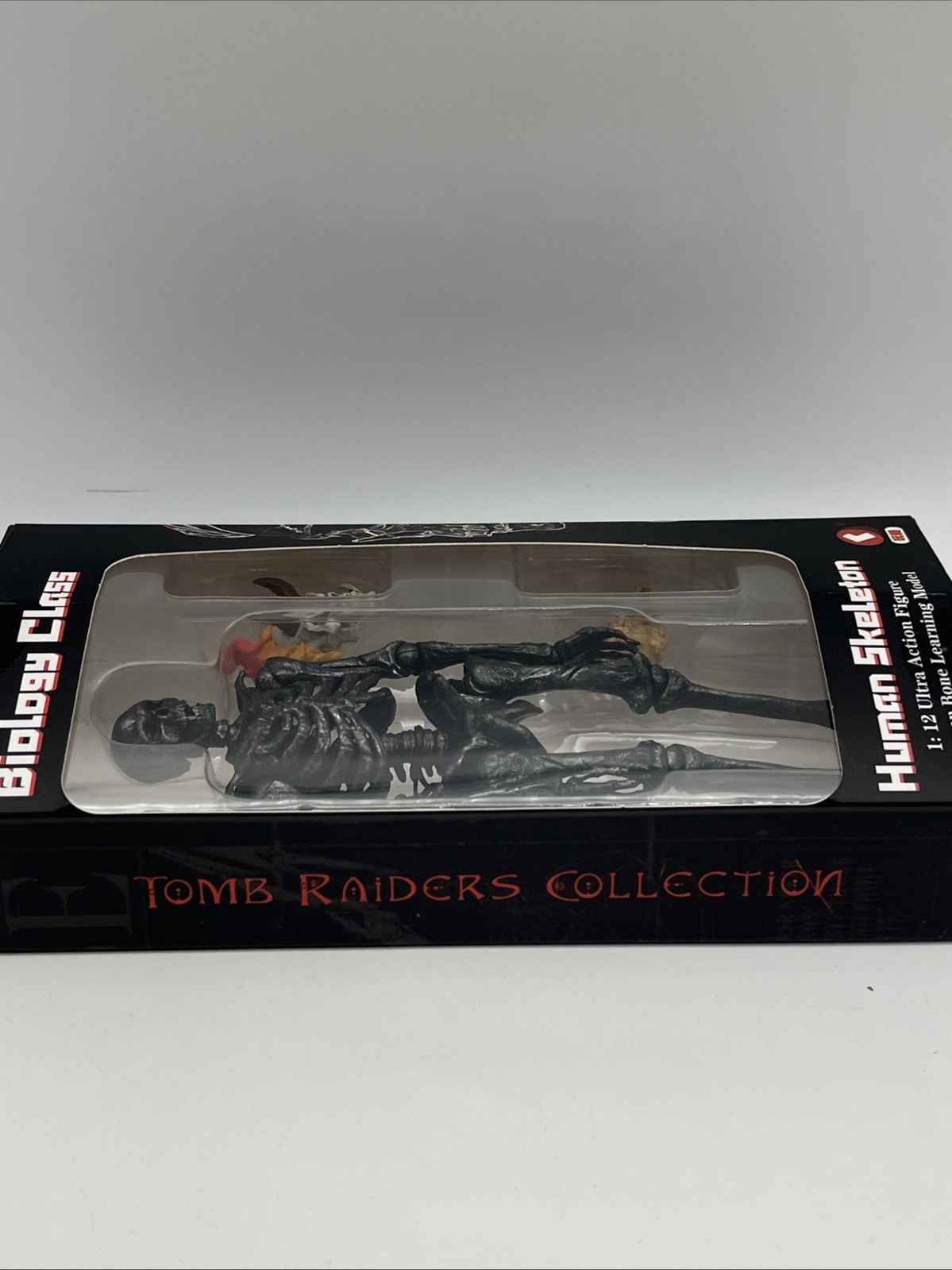 KEEPGOING Biology Classroom Human Skeleton Articulated Model 1/12 Dark Grey Rare