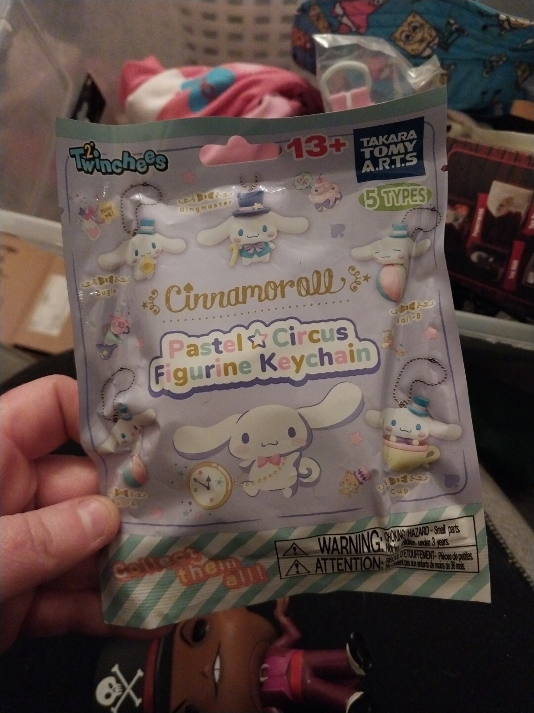 1 PC Twinchees Cinnamoroll Blind Bag Figurine Keychain- Assorted style