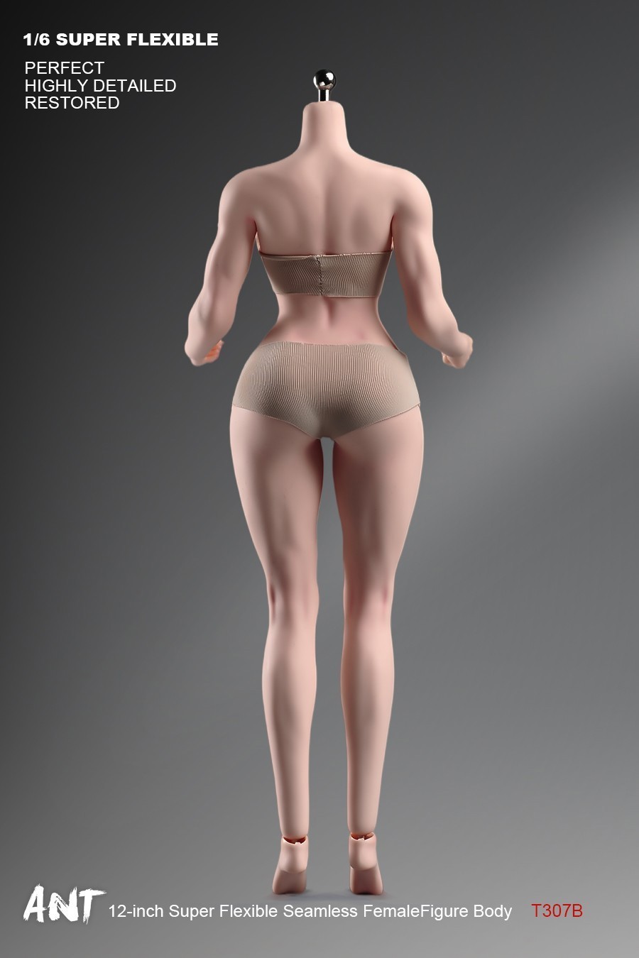 New ANT T307 1/6 Female Normal Sexy Large Bust Muscle Plump Body For 12 »Figure