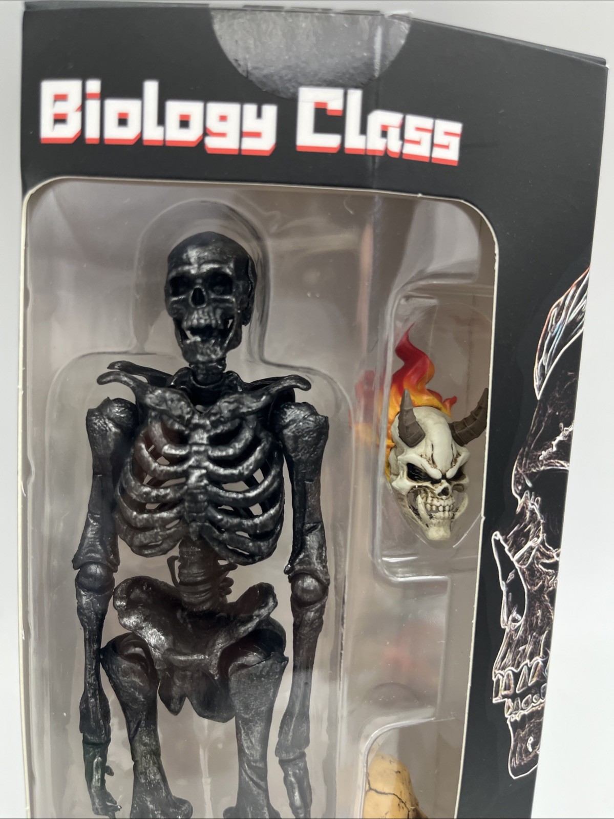 KEEPGOING Biology Classroom Human Skeleton Articulated Model 1/12 Dark Grey Rare