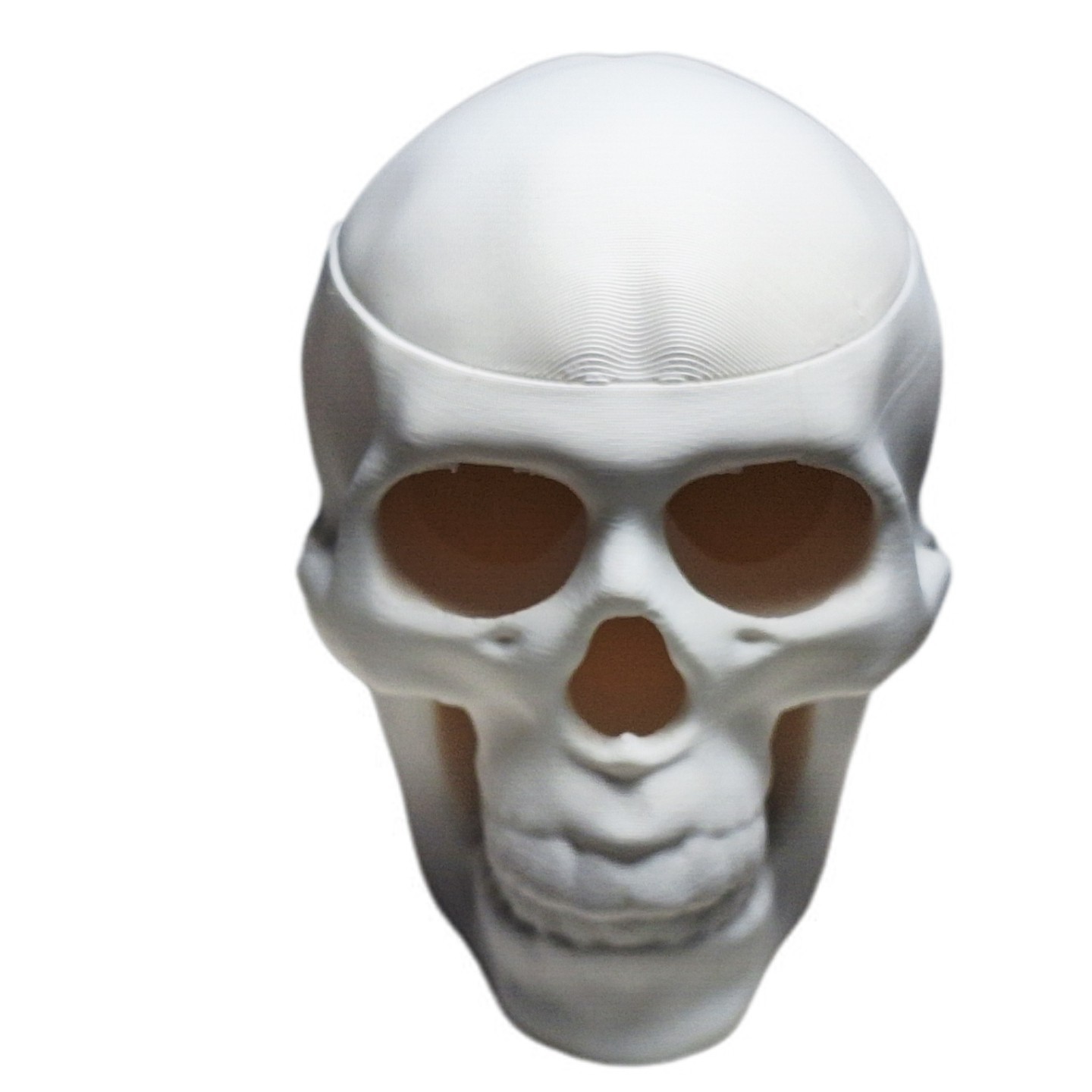 FlexiMech Human Skull Tealight Lamp Sculpture Bone White Tealight Cover Holder
