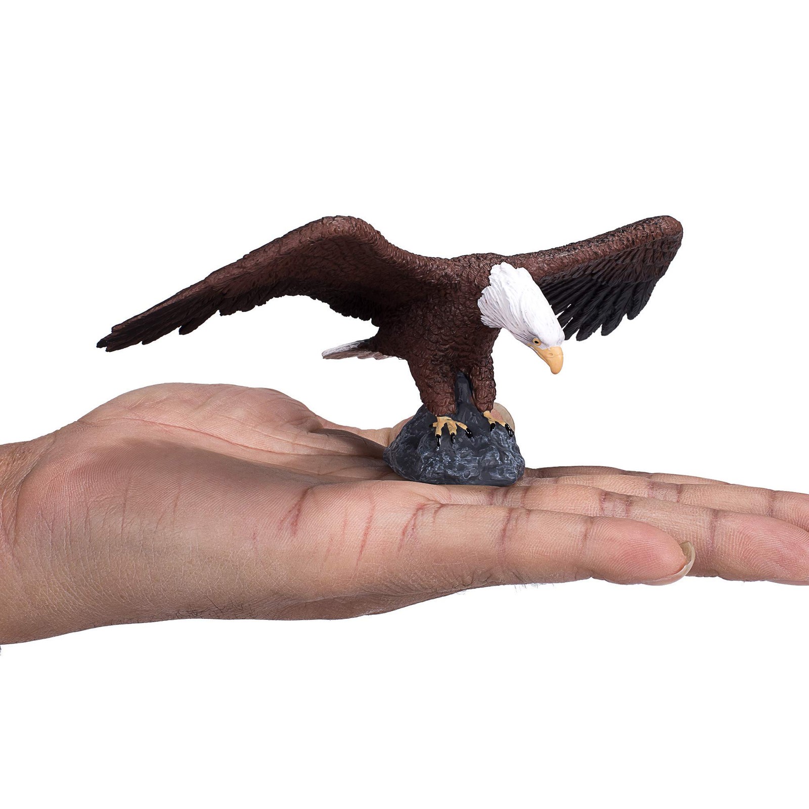 MOJO – North American Bald Eagle | Hand-Painted youth large / 11-13, Black
