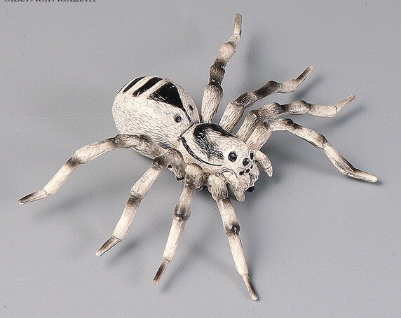 Spider Insect Animal Toy PVC Action Figure Doll Kids Toys Party Gifts