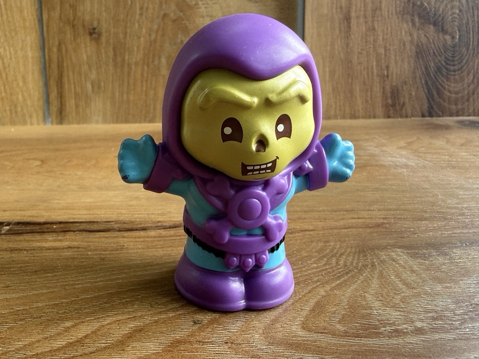 Skeletor Figure little people