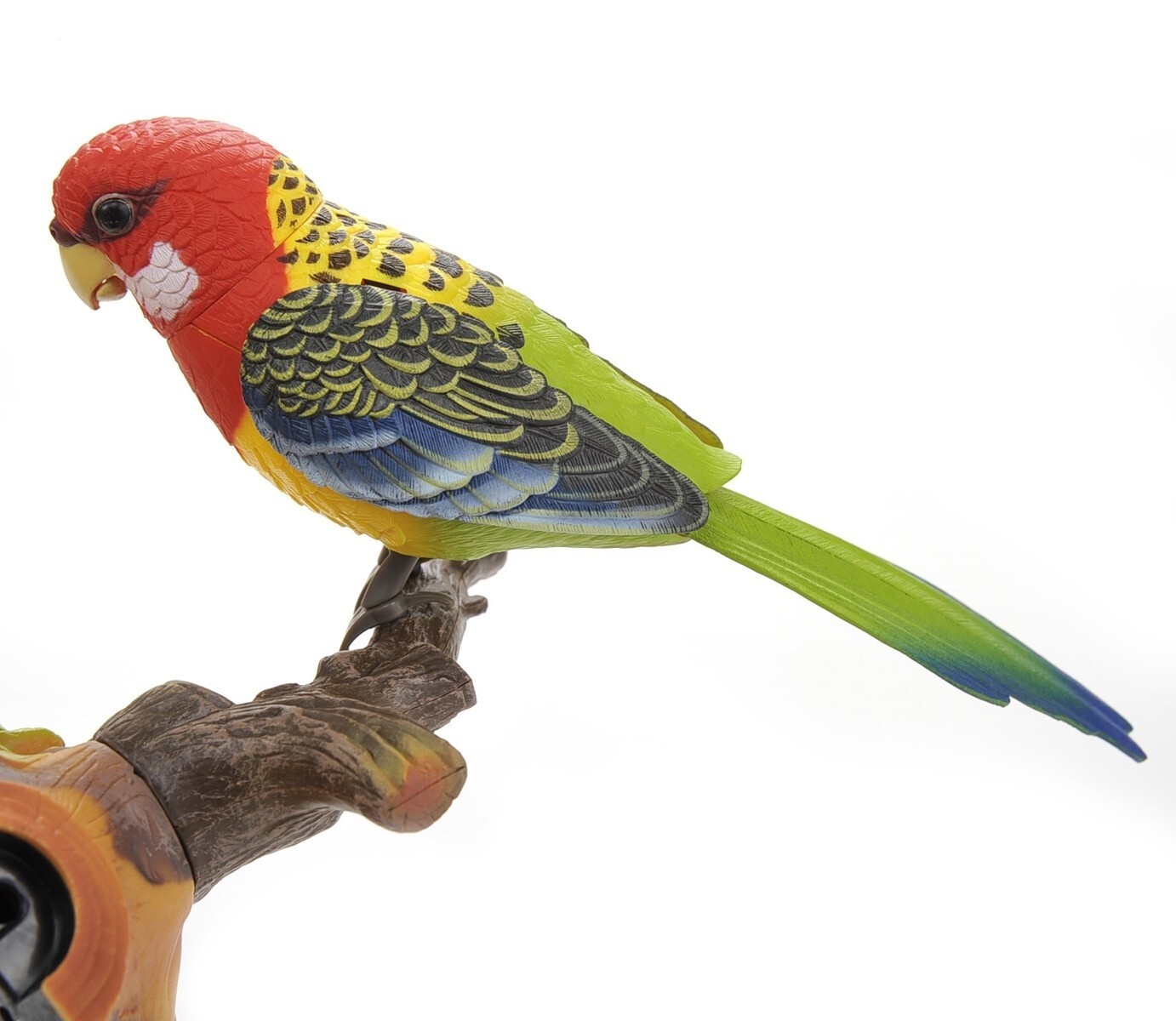 Realistic Chirping & Dancing Parrot Bird Gift Set
