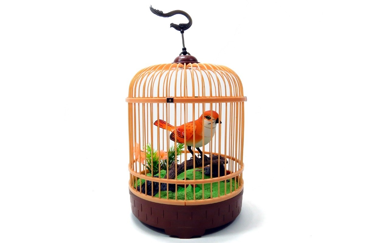 Realistic Singing & Chirping Orange Bird In Cage Gift Set