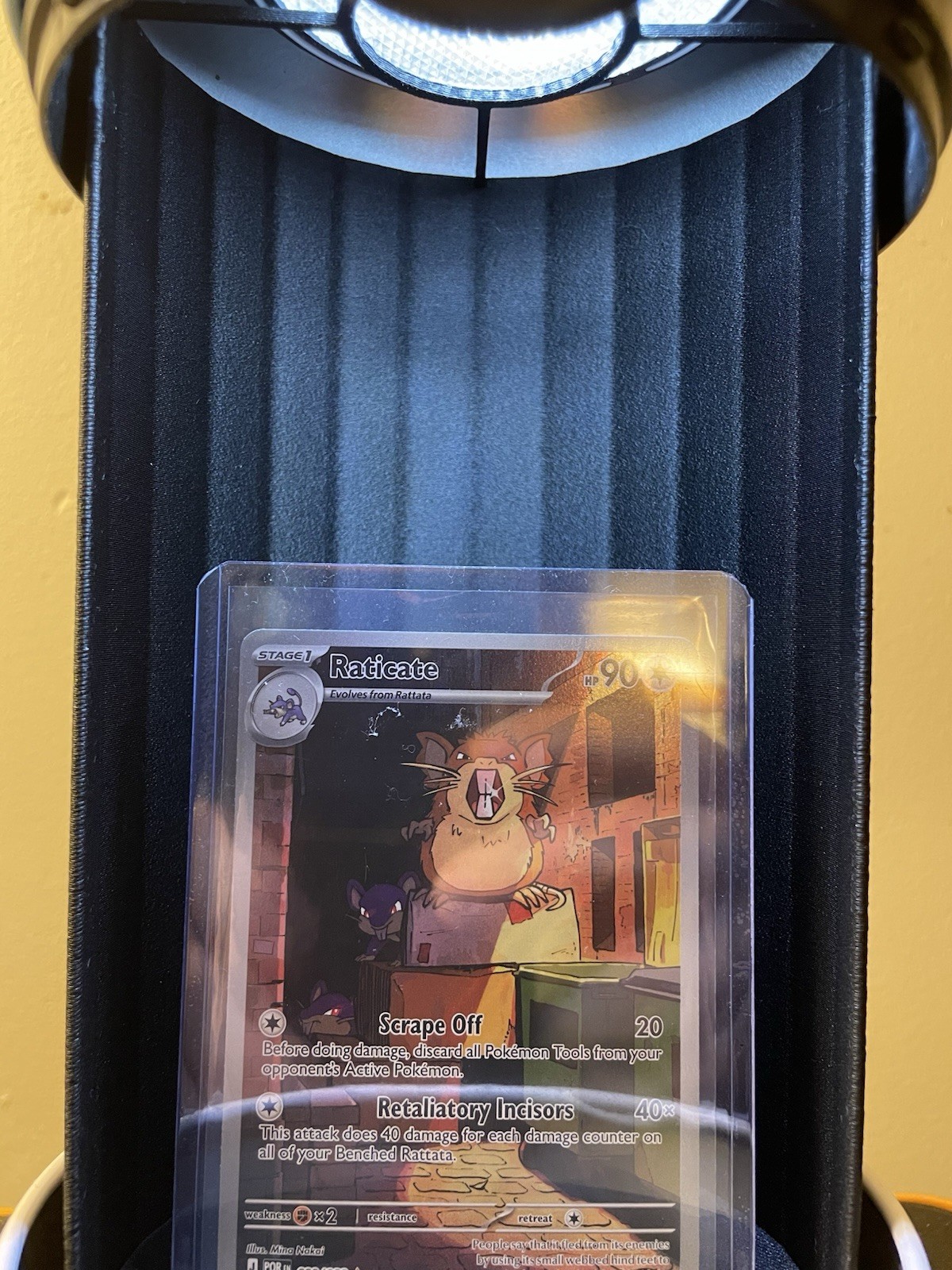 Pokemon Poke Ball Top Loader Display
