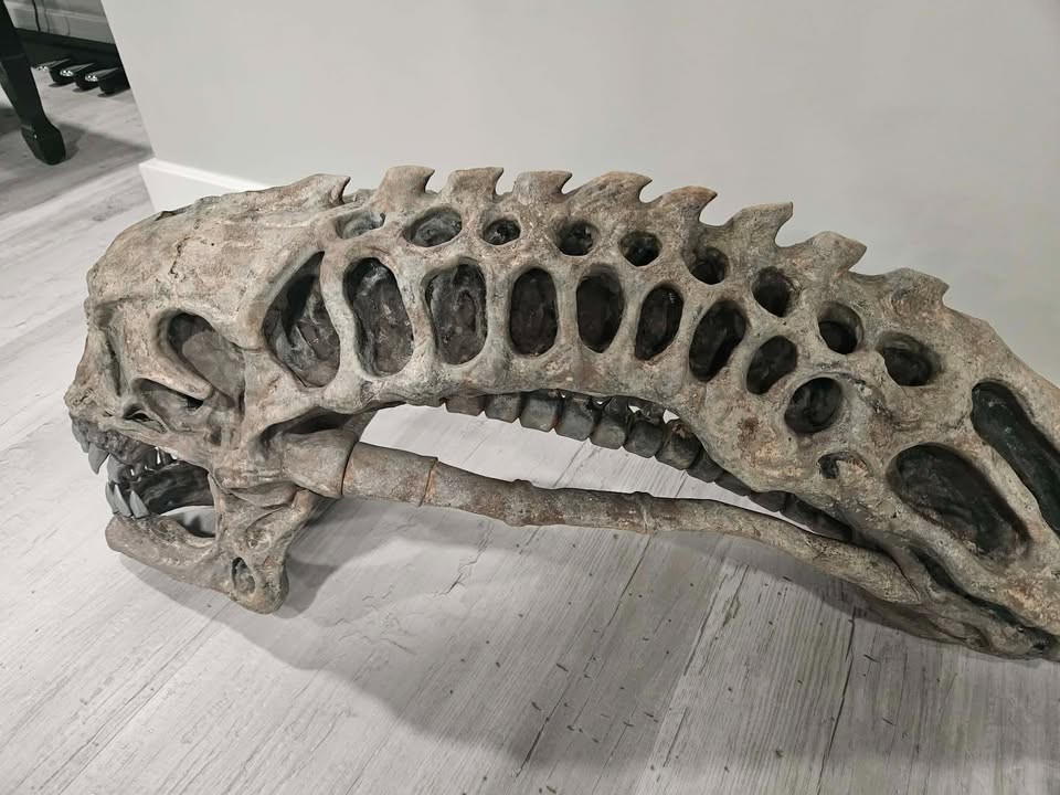 Xenomorph skull movie alien