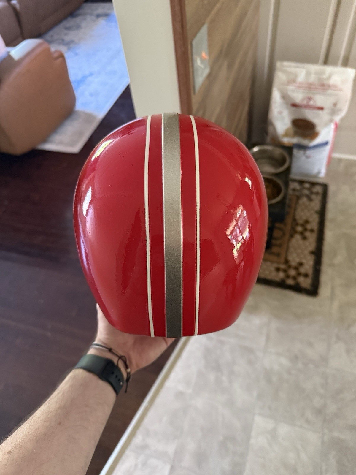 Power Rangers Quantum Ranger Signed Helmet