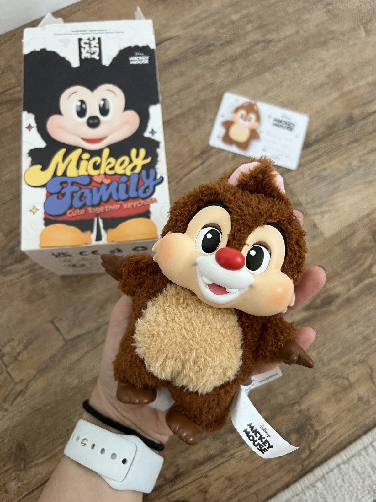 POP MART Disney Mickey and Friends Family Cute Together – Dale