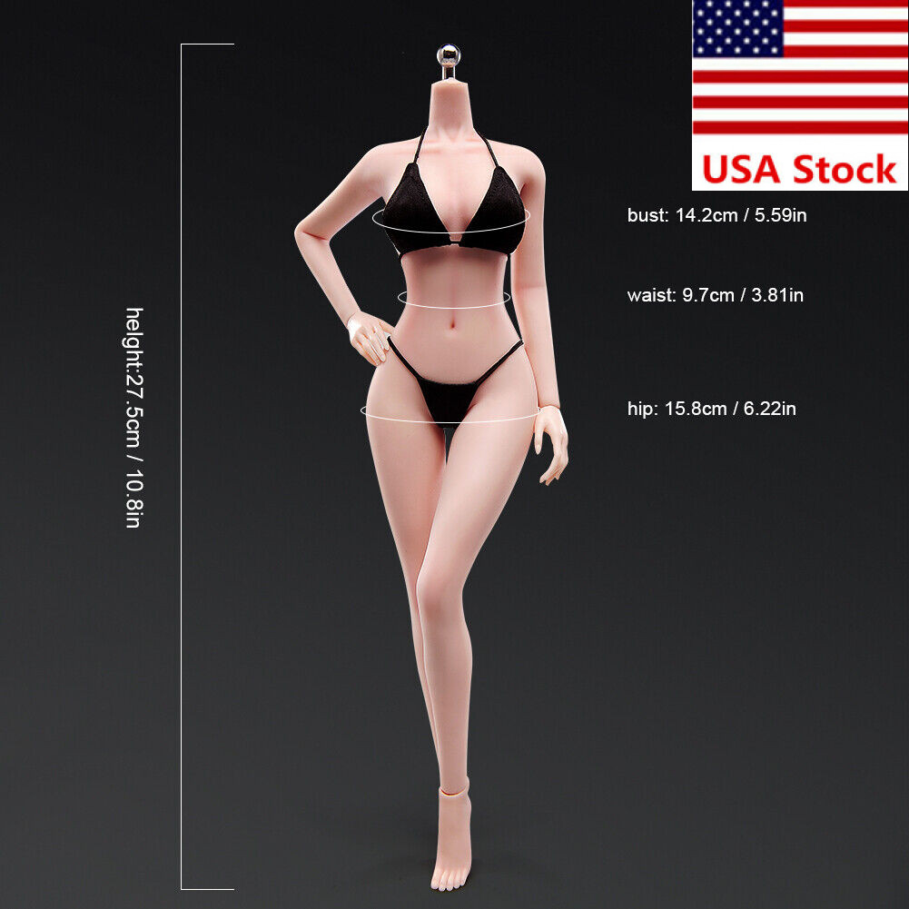 US 1/6 Medium Bust Makeup Flexible Joint Seamless Female Figure Body Model Toy